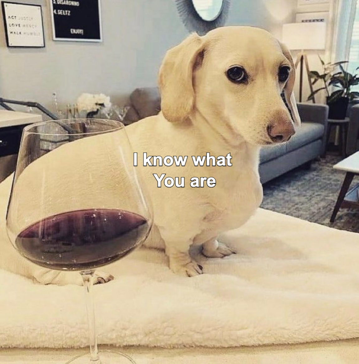 1734524419685.png