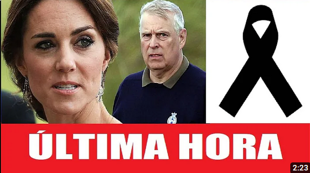 Captura de pantalla 2024-02-27 132357.png