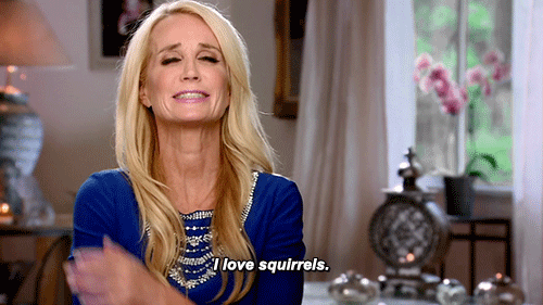 source.gif