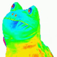 frog.gif