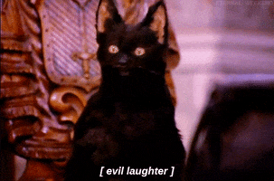 Tv Series Comedy GIF