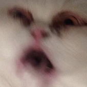 b3676f89fa9af8fe9c240745f77b6f0b.png