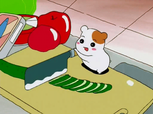 ZV.gif